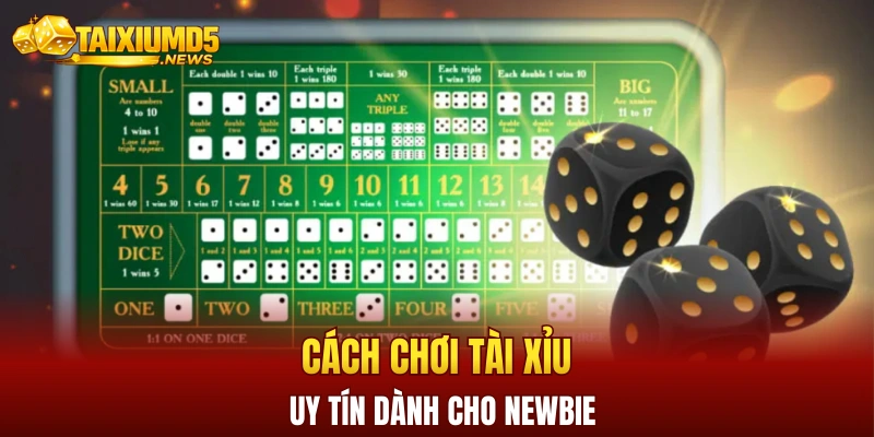 Cách chơi tài xỉu uy tín dành cho newbie