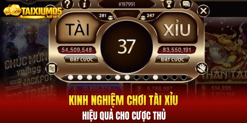 Kinh nghiệm chơi tài xỉu hiệu quả cho cược thủ